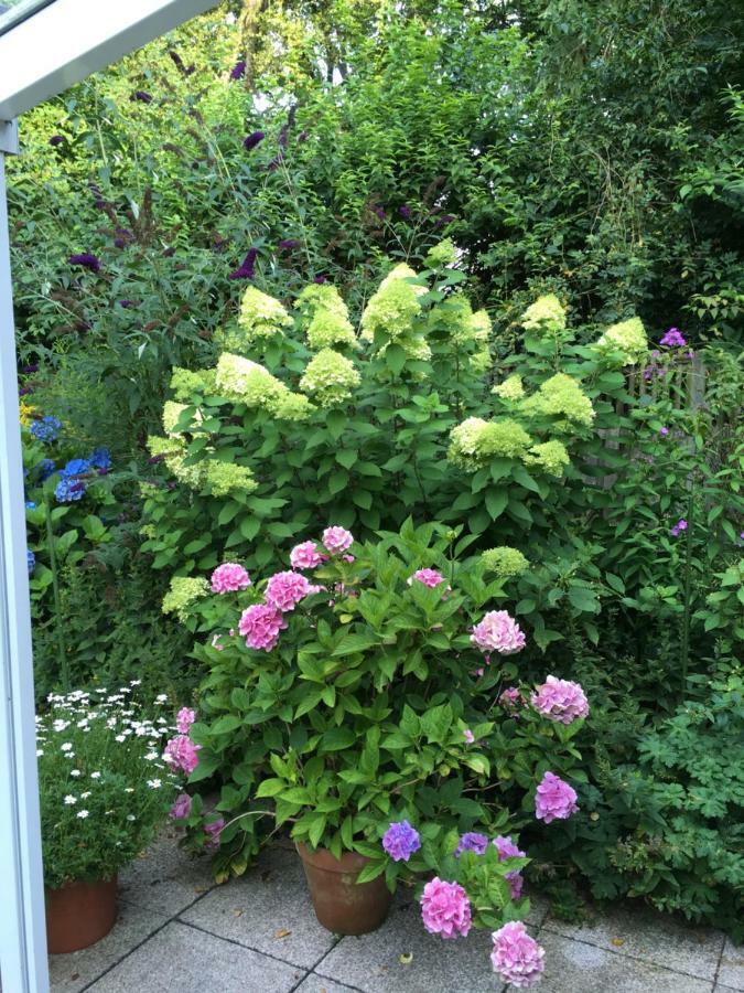 Bigalke Bed & Breakfast Hamburg-Harburg